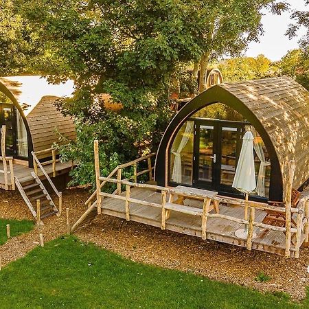 Boomhuis Met Optioneel Wellness - Vakantiepark De Schreiershoek Dokkum Luaran gambar