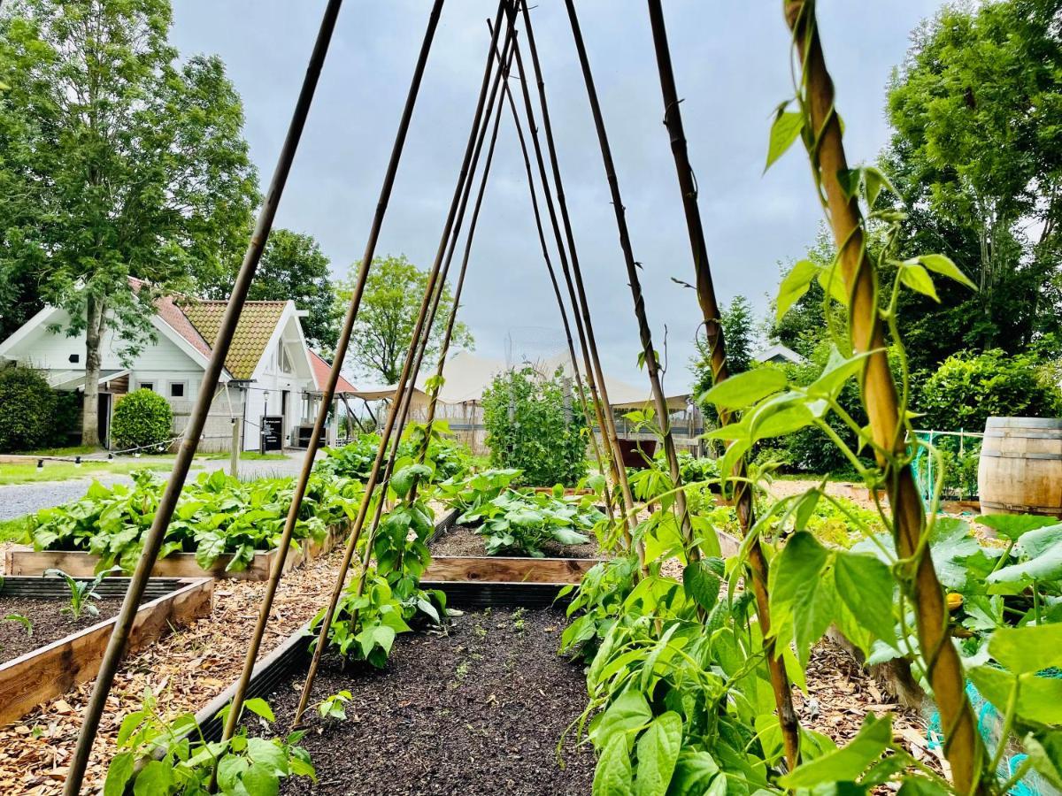 Boomhuis Met Optioneel Wellness - Vakantiepark De Schreiershoek Dokkum Luaran gambar