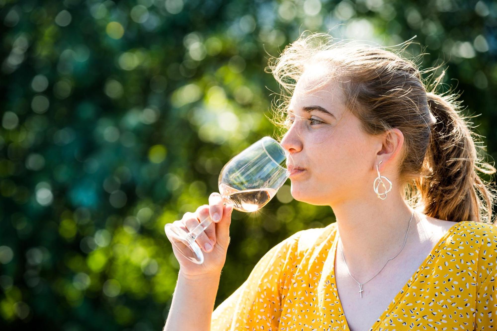 Boomhuis Met Optioneel Wellness - Vakantiepark De Schreiershoek Dokkum Luaran gambar