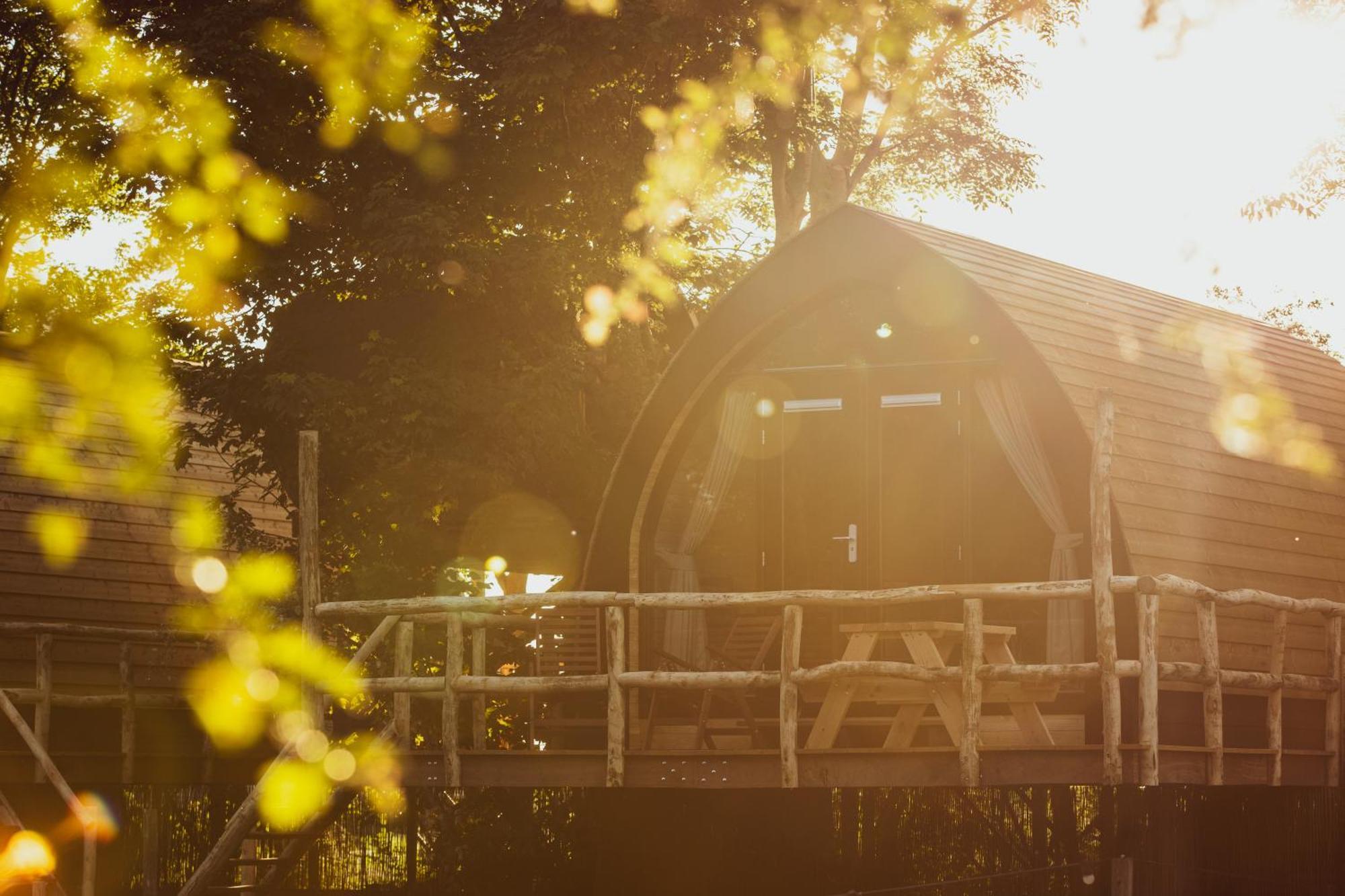 Boomhuis Met Optioneel Wellness - Vakantiepark De Schreiershoek Dokkum Luaran gambar
